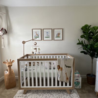 Karla dubois hotsell wooster crib